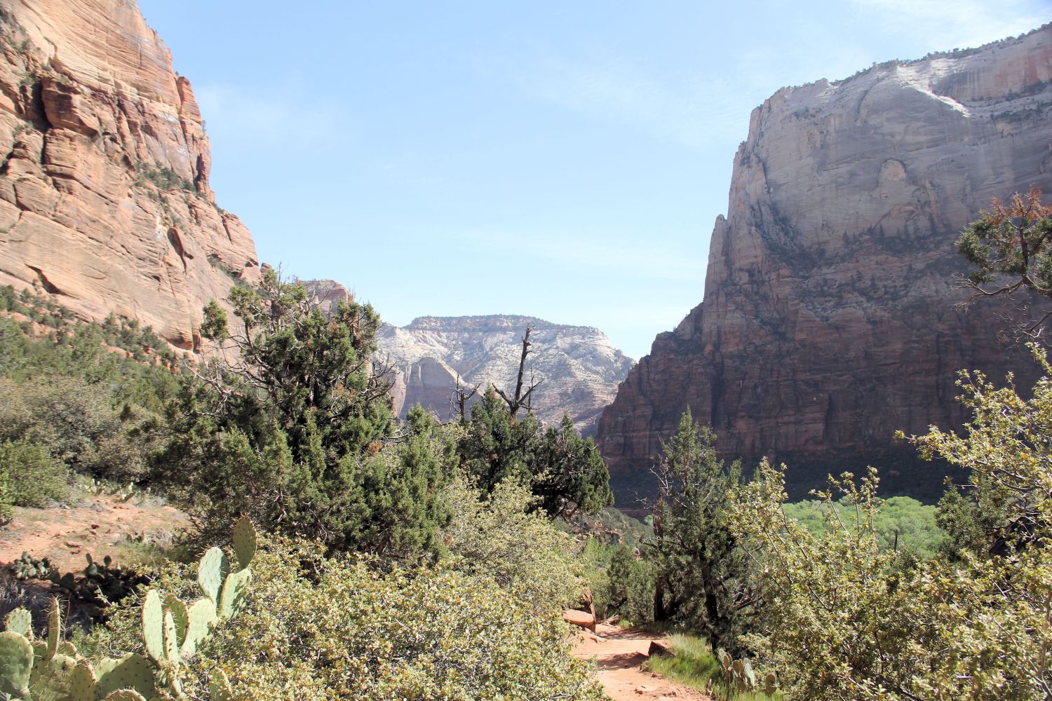 Lower & Upper Emerald & Kayenta Trails 